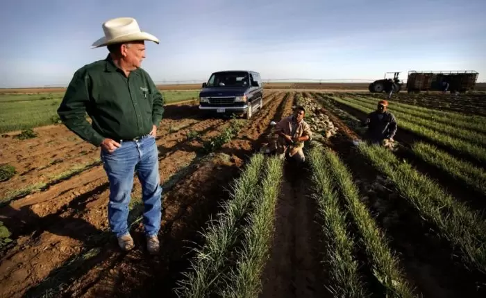 Американские фермеры призвали облегчить наём гастарбайтеров