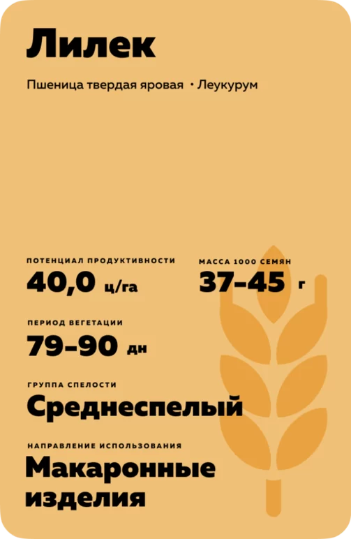 Лилек