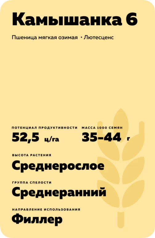 Камышанка 6