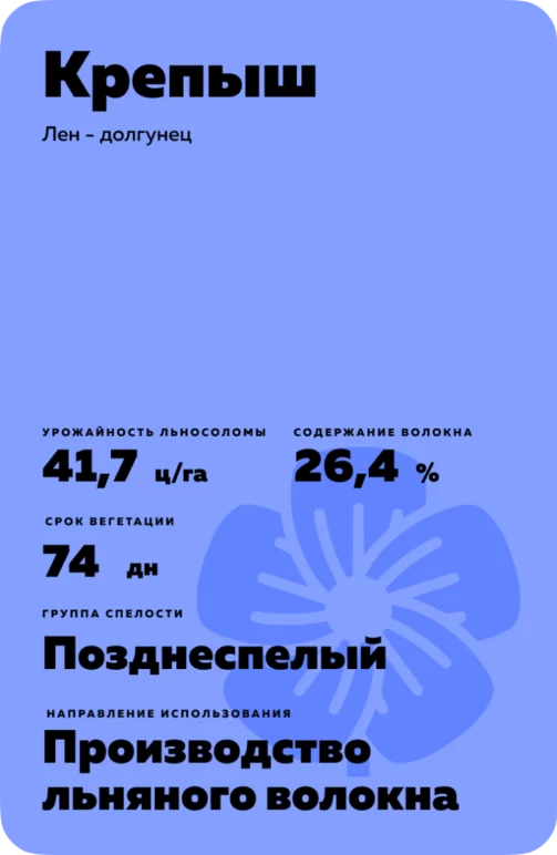 Крепыш