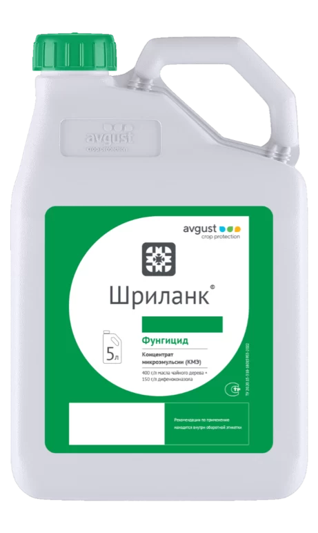 Шриланк, КМЭ