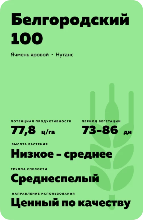 Белгородский 100