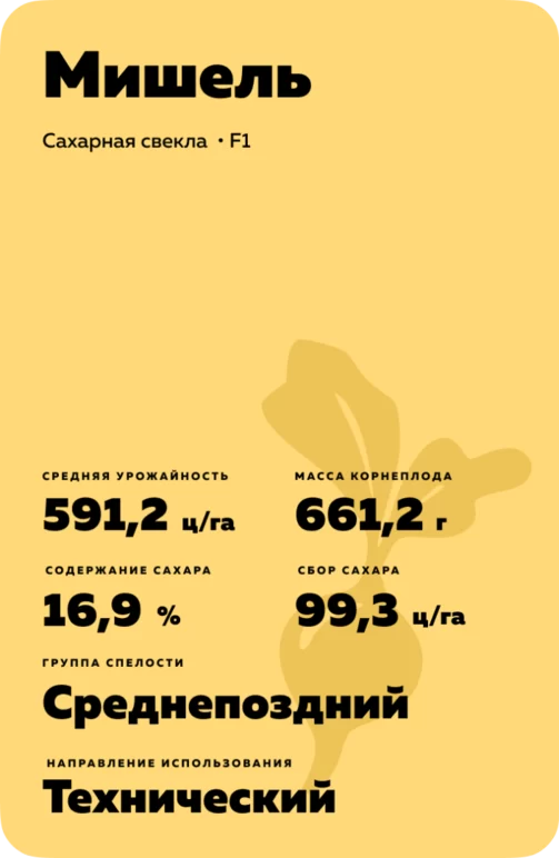 Мишель