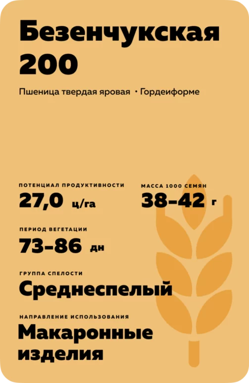 Безенчукская 200