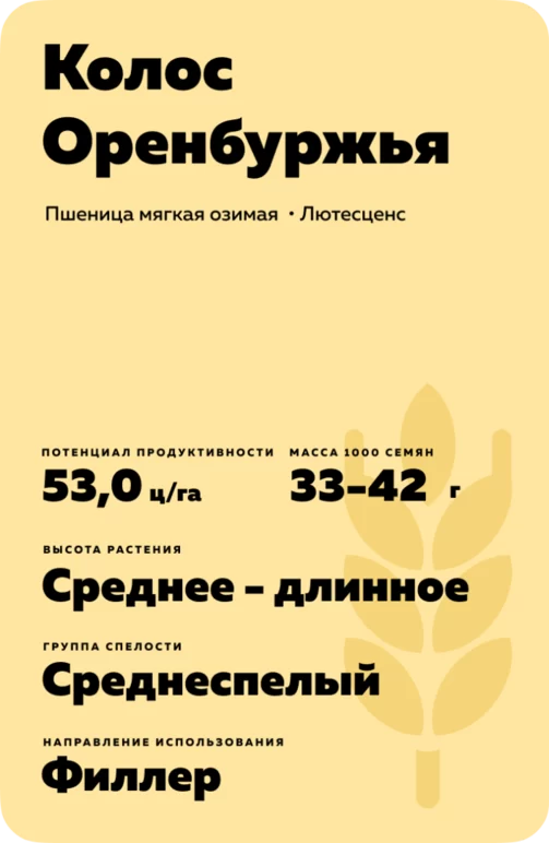 Колос Оренбуржья
