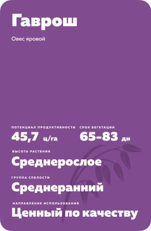 Гаврош сорт овса ярового