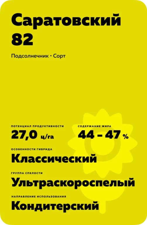 Саратовский 82