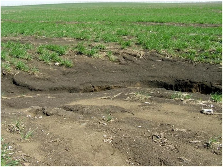 Как бороться с эрозией почвы в технологии no-till?