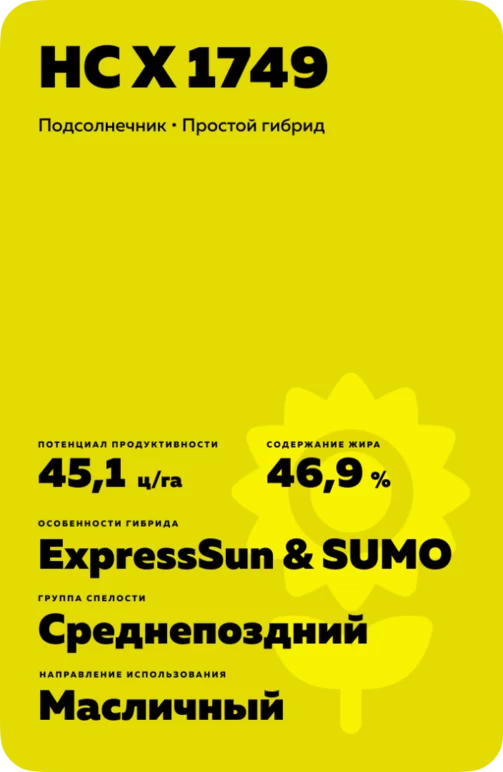 НС Х 1749 подсолнечник