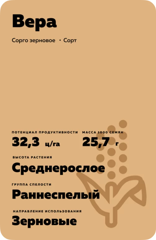 Вера