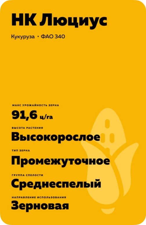 НК Люциус (NK LUCIUS)