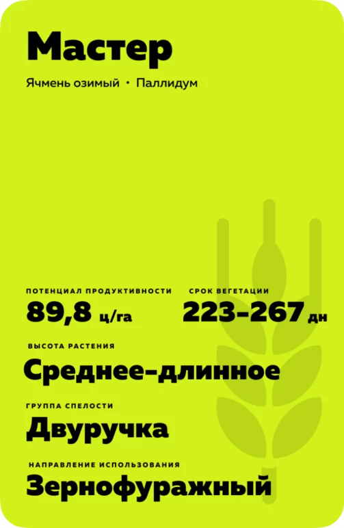 Мастер
