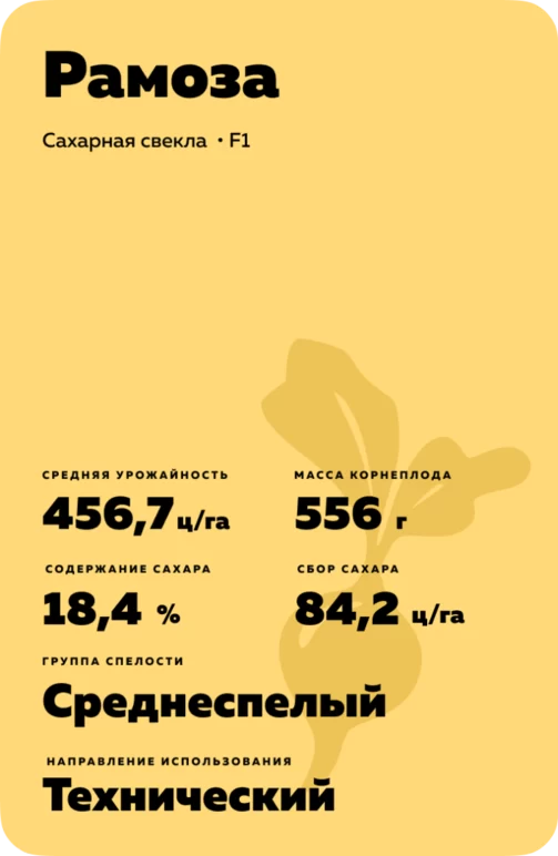Рамоза