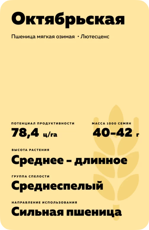 Октябрьская