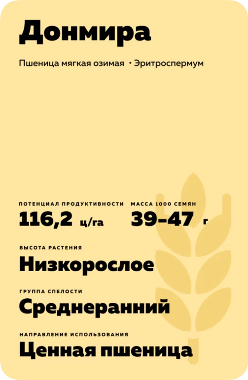 Донмира сорт озимой пшеницы