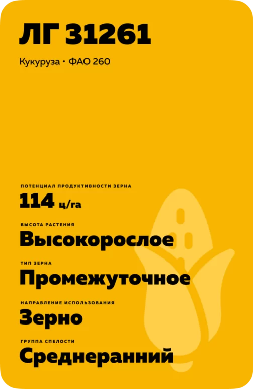 ЛГ 31261 гибрид кукурузы Лимагрейн