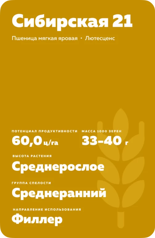 Сибирская 21
