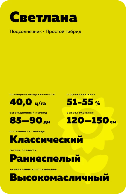 Светлана гибрид подсолнечника