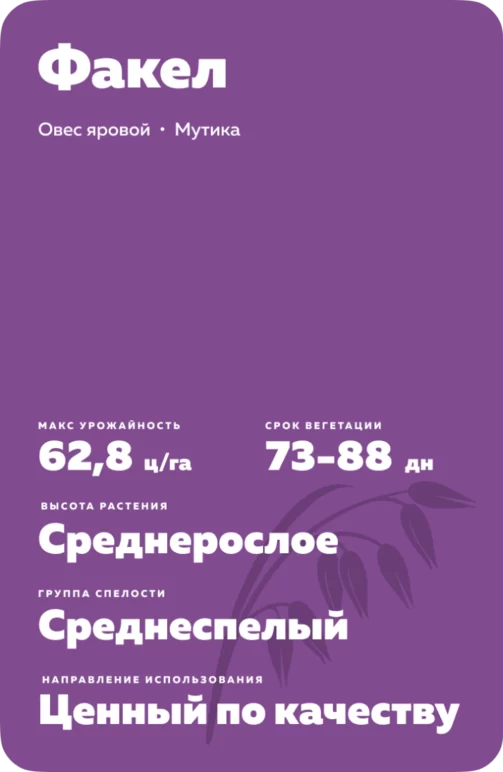 Факел сорт овса ярового