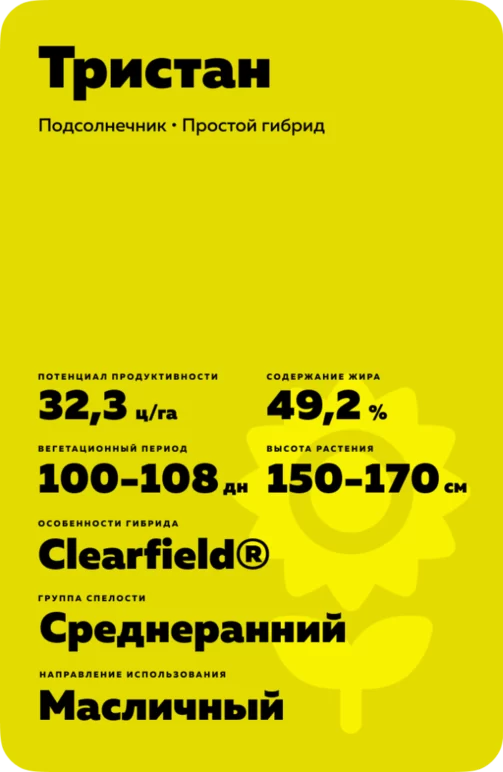 Тристан  - гибрид подсолнечника (  Helianthus annuus L.).