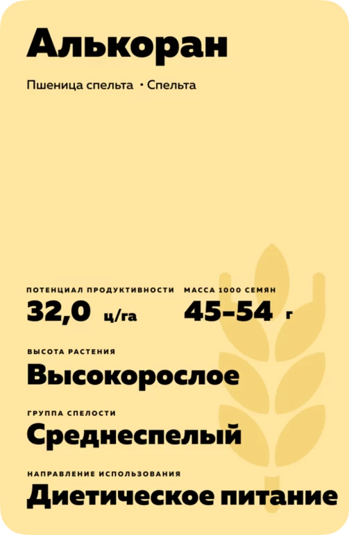 Алькоран пшеница спельта