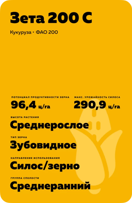 Зета 200 С гибрид кукурузы
