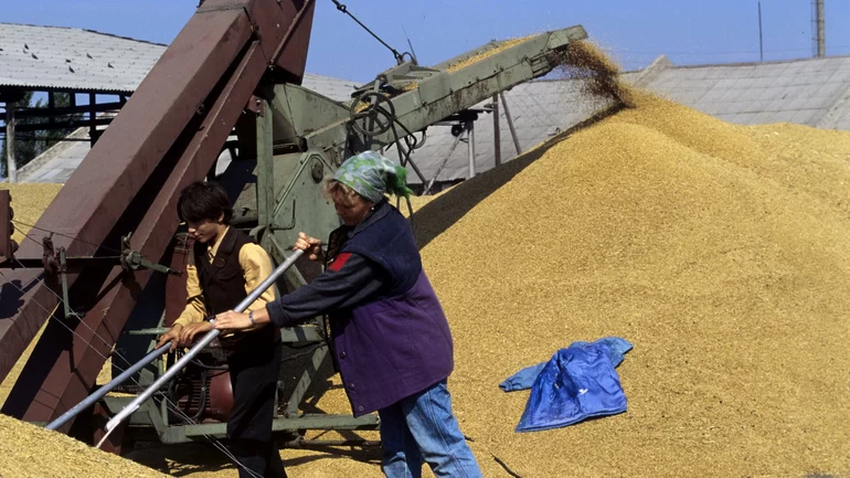 Решение о начале "зерновой сделки" не влияет на ее продление, заявили в МИД