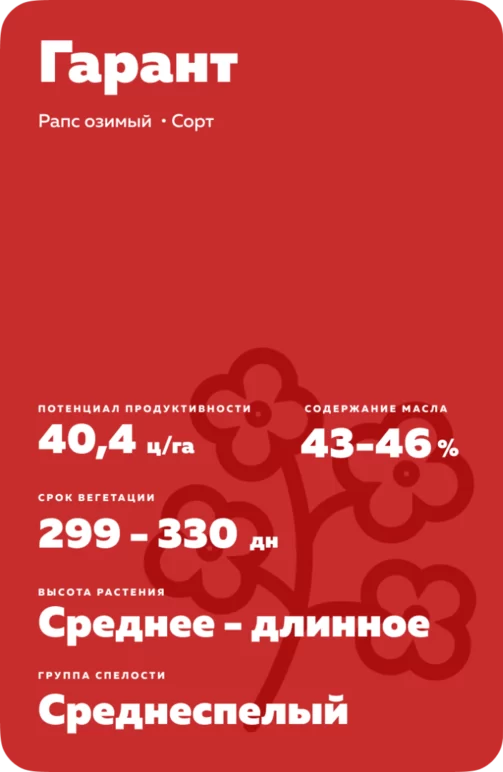 Гарант рапс озимый