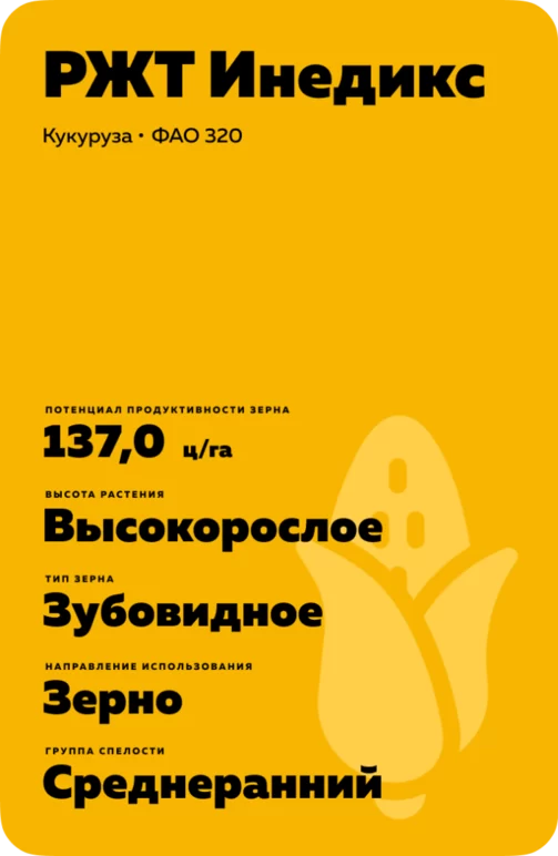 РЖТ Инедикс гибрид кукурузы