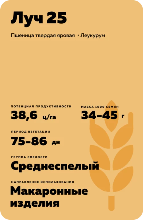 Луч 25