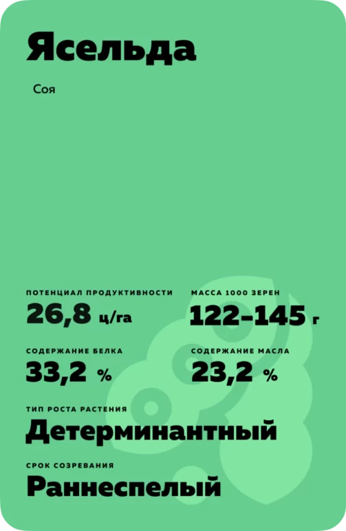 Ясельда
