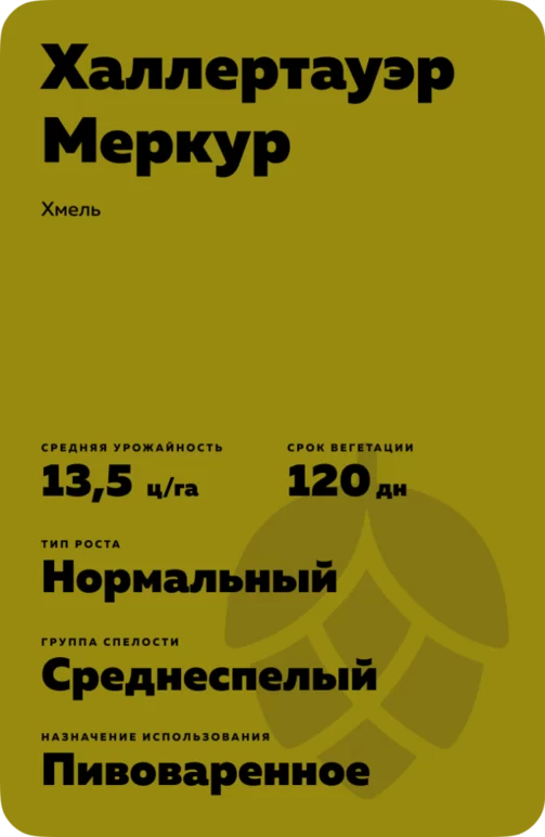 Халлертауэр Меркур