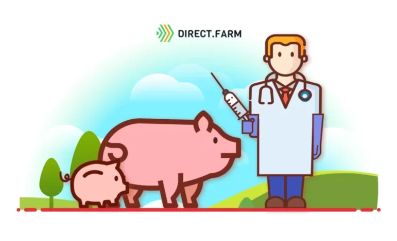 От каких болезней необходимо вакцинировать свиней?