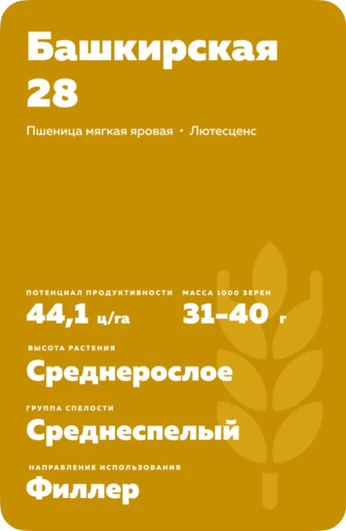 Башкирская 28
