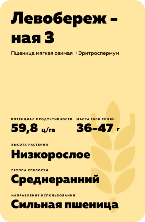 Левобережная 3