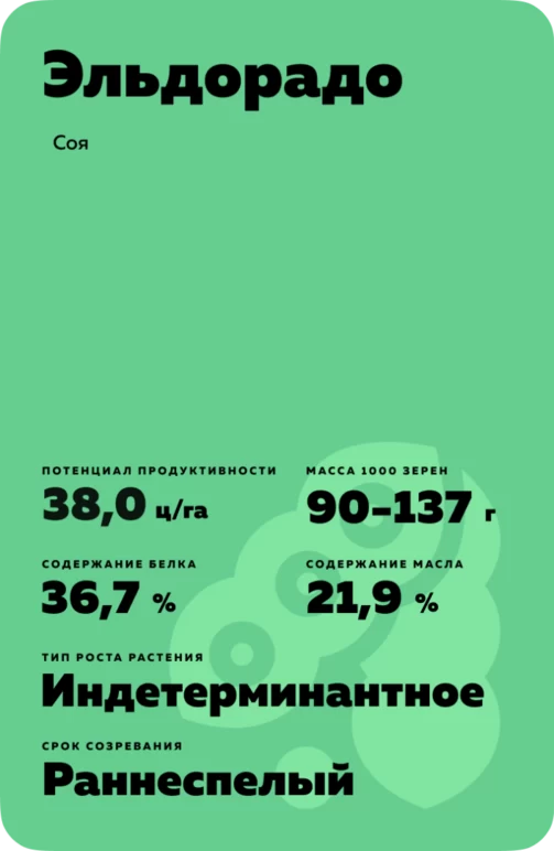Эльдорадо - соя. Характеристики и отзывы