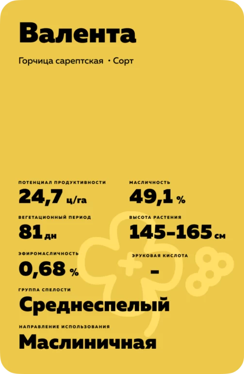 Валента ® - сорт сарептской горчицы  (Sinapis alba L.).
