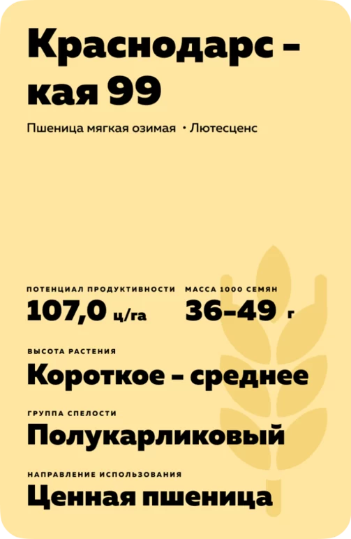 Краснодарская 99