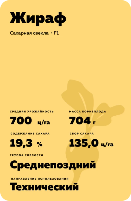 Жираф