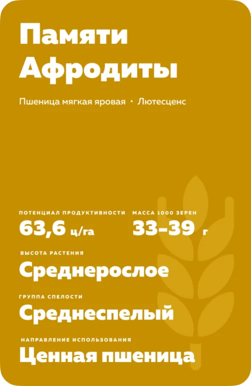 Памяти Афродиты