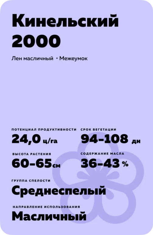 Кинельский 2000 сорт льна масличного