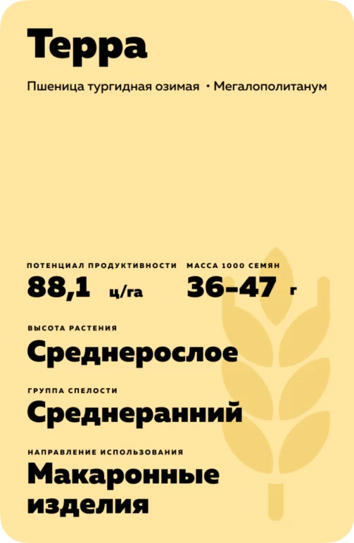 Терра