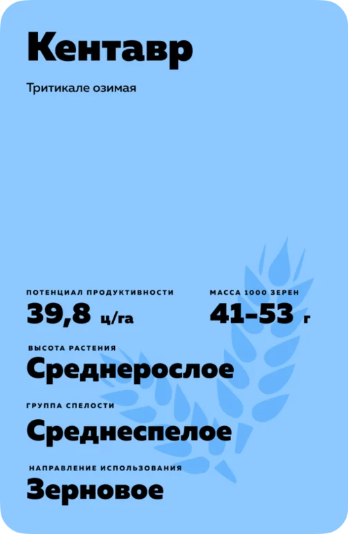 Кентавр