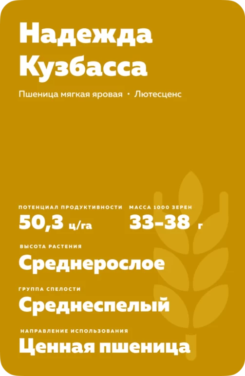 Надежда Кузбасса