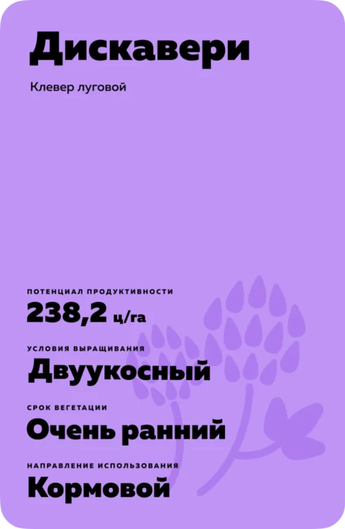 Дискавери