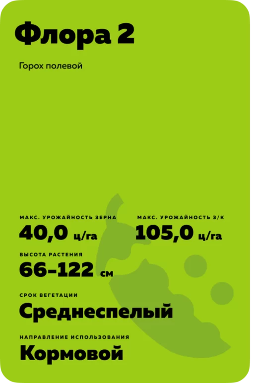 Флора 2
