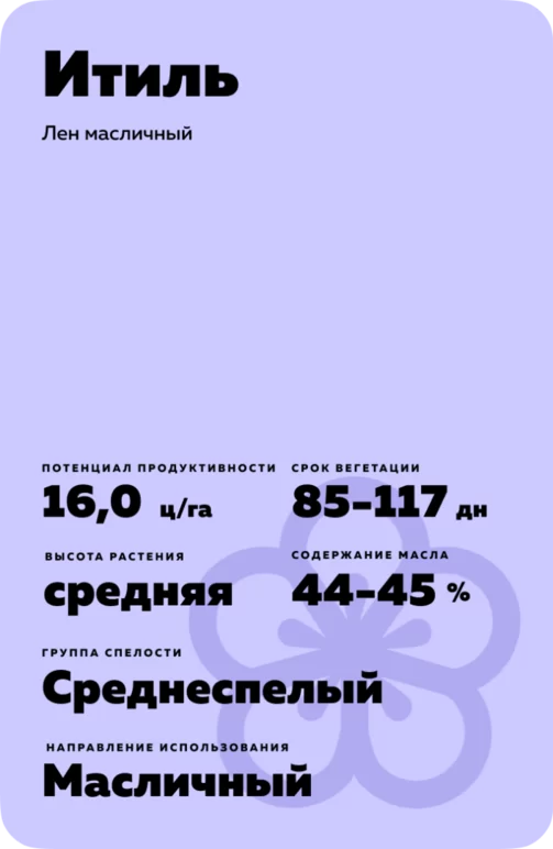Итиль сорт льна масличного