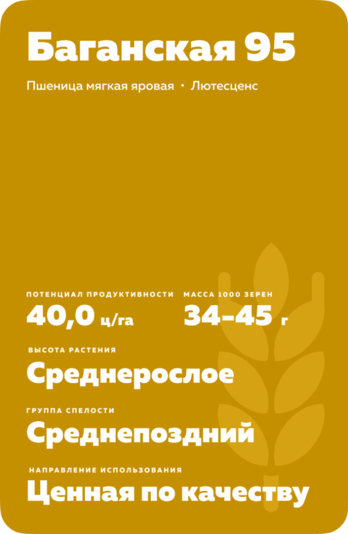 Баганская 95 сорт пшеницы яровой мягкой