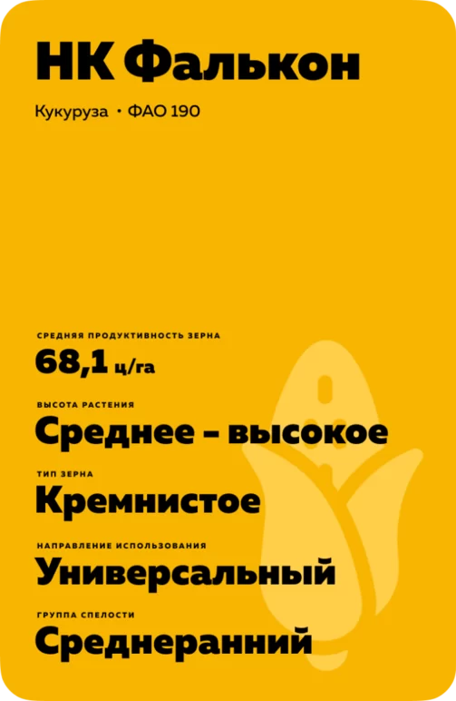 НК Фалькон гибрид кукурузы