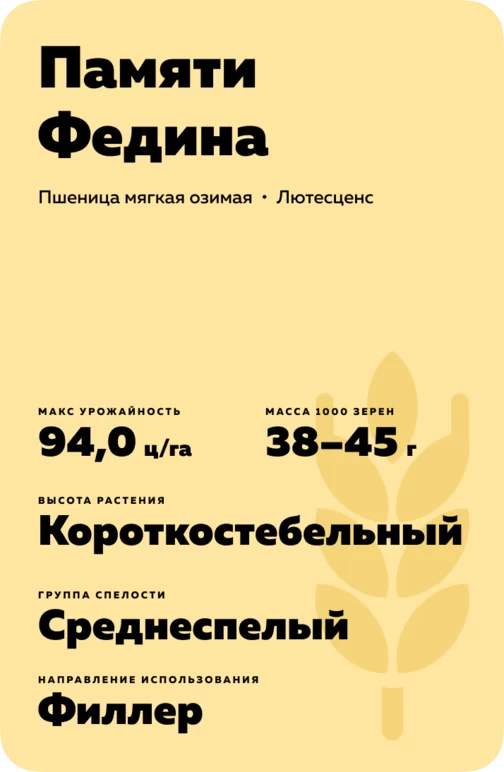 Памяти Федина мягкая озимая пшеница
